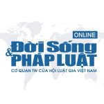 Chủ tịch Big Group Holdings Võ Phi Nhật Huy: Từ những căn phòng đầu tiên đến hành trình xây dựng doanh nghiệp đại chúng