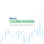 Chủ tịch HĐQT BIG Group Holdings nói gì về định giá và chiến lược dài hạn